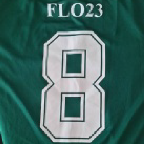 Flo23 haarlem voetbal shirt sieraden