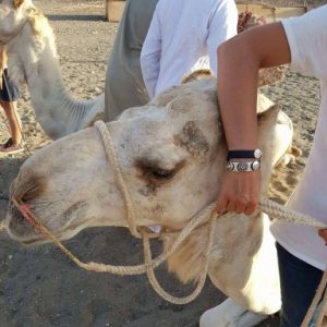 Armband Honfleur RII